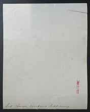 Load image into Gallery viewer, 44223882