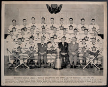 Load image into Gallery viewer, 47066685