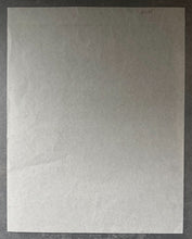 Load image into Gallery viewer, 47159682