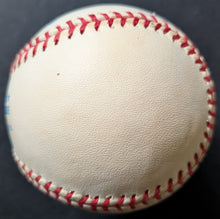 Load image into Gallery viewer, 47901295