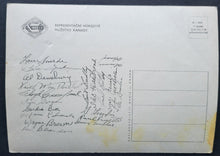 Load image into Gallery viewer, 43884767