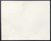 Load image into Gallery viewer, 46892192