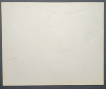 Load image into Gallery viewer, 43780196