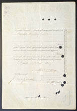 Load image into Gallery viewer, 43876590