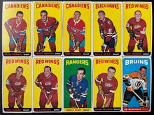 Load image into Gallery viewer, 44311011