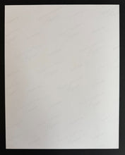 Load image into Gallery viewer, 47019734