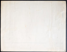 Load image into Gallery viewer, 47301481