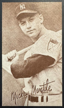 Load image into Gallery viewer, 43690073