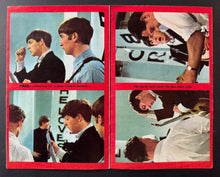 Load image into Gallery viewer, 43814372