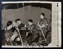 Load image into Gallery viewer, 44061493