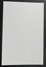 Load image into Gallery viewer, 43741076