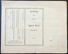 Load image into Gallery viewer, 43876591