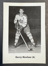 Load image into Gallery viewer, 43760307