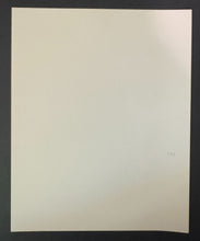 Load image into Gallery viewer, 45322988