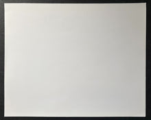 Load image into Gallery viewer, 47760333