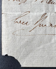 Load image into Gallery viewer, 44096601