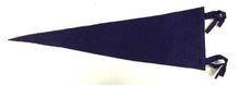 Load image into Gallery viewer, 1966 NYASA Peewee Tournament North York TWSP Avenue RD Lions VTG Felt Pennant