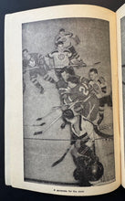 Load image into Gallery viewer, 44227618