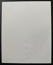 Load image into Gallery viewer, 43703586