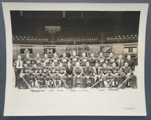 Load image into Gallery viewer, 43780199