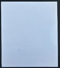 Load image into Gallery viewer, 47486044