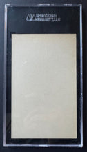 Load image into Gallery viewer, 43814266