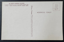 Load image into Gallery viewer, 43814286