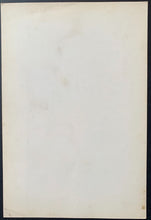 Load image into Gallery viewer, 44986714