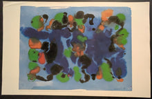 Load image into Gallery viewer, 44096608