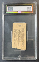 Load image into Gallery viewer, 44091758