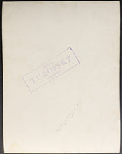 Load image into Gallery viewer, 43876602