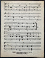 Load image into Gallery viewer, 45190568