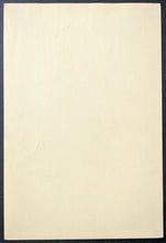 Load image into Gallery viewer, 45198035