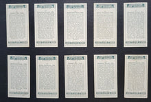 Load image into Gallery viewer, 43814364