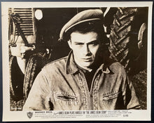 Load image into Gallery viewer, 45273197