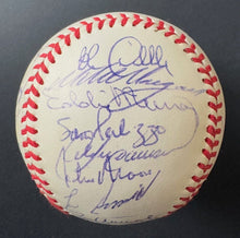 Load image into Gallery viewer, 43943718