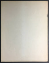 Load image into Gallery viewer, 47907852