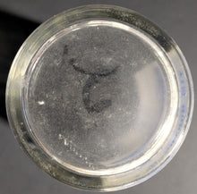 Load image into Gallery viewer, 44089545