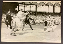 Load image into Gallery viewer, 47749892
