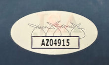 Load image into Gallery viewer, 43693360