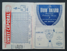 Load image into Gallery viewer, 43814361