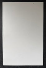 Load image into Gallery viewer, 47301494