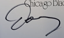 Load image into Gallery viewer, 43724570