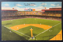 Load image into Gallery viewer, 43814296