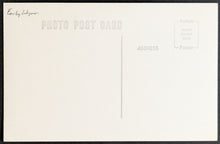 Load image into Gallery viewer, 44383620