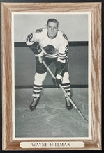 Load image into Gallery viewer, 44986693