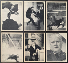 Load image into Gallery viewer, 45012296