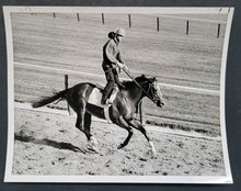 Load image into Gallery viewer, 44272138
