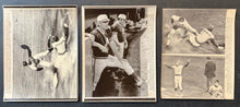 Load image into Gallery viewer, 47476996