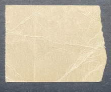 Load image into Gallery viewer, 45350249